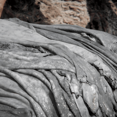 Leather Tannery